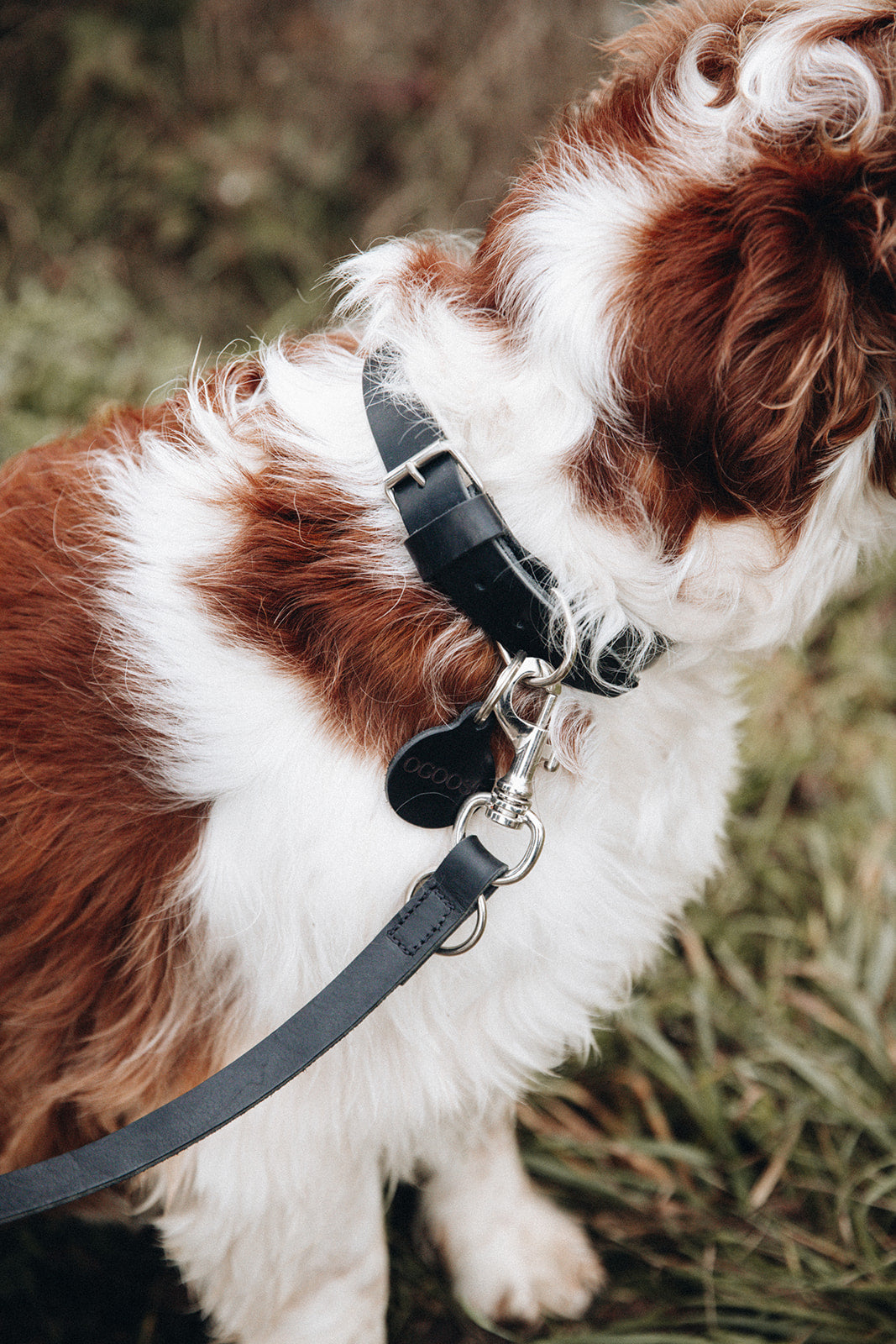 OWEN CROSSBODY