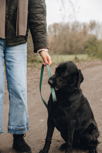 JOHN LEASH